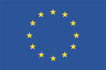 European Union flag